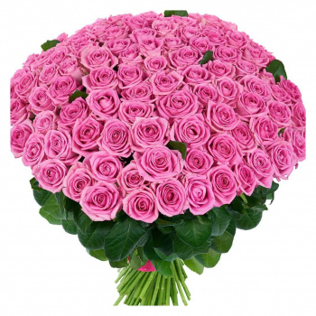Букет из 101 розовой розы